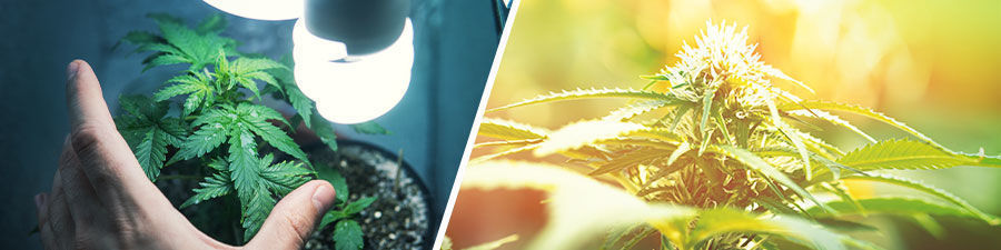 Inomhus vs utomhus Indoor vs Outdoor