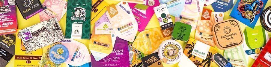 De olika typerna av cannabisfrön som säljs hos Zamnesia De olika typerna av cannabisfrön som säljs hos Zamnesia
