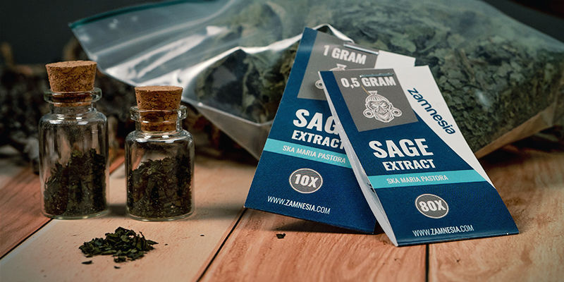 Hur och var kan du få tag på Salvia divinorum? Hur och var kan du få tag på Salvia divinorum?