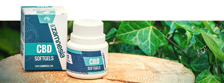 Information About CBD Capsules Information About CBD Capsules