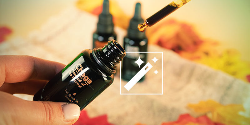 Effekter av svamptinkturer Effects of Mushroom Tinctures