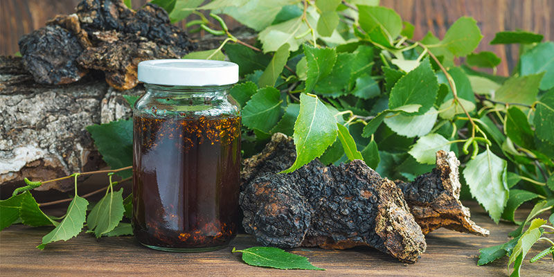 Så gör du svamptinktur How To Make Mushroom Tincture