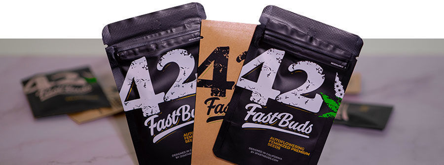 Information om FastBuds Cannabisfrön Information om FastBuds Cannabisfrön