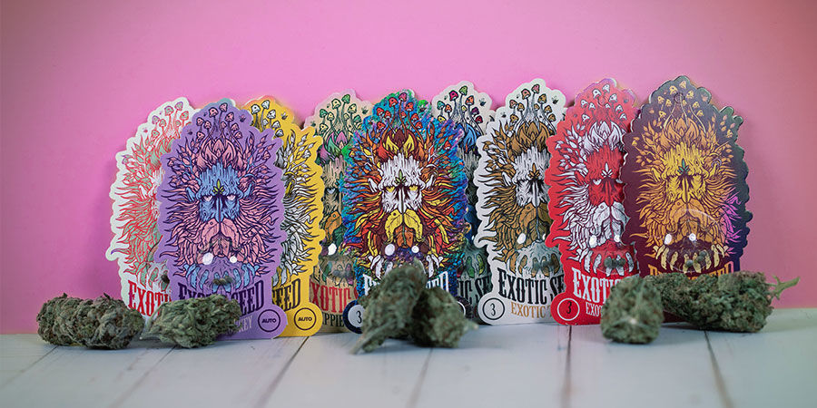 Prisbel&ouml;nta cannabissorter fr&aring;n Exotic Seed