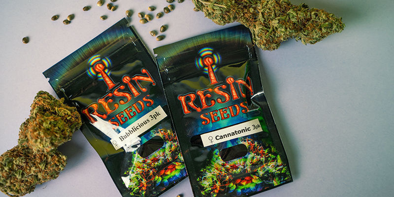 Hur förpackas Resin Seeds Cannabisfrön? Resin Seeds-förpackning