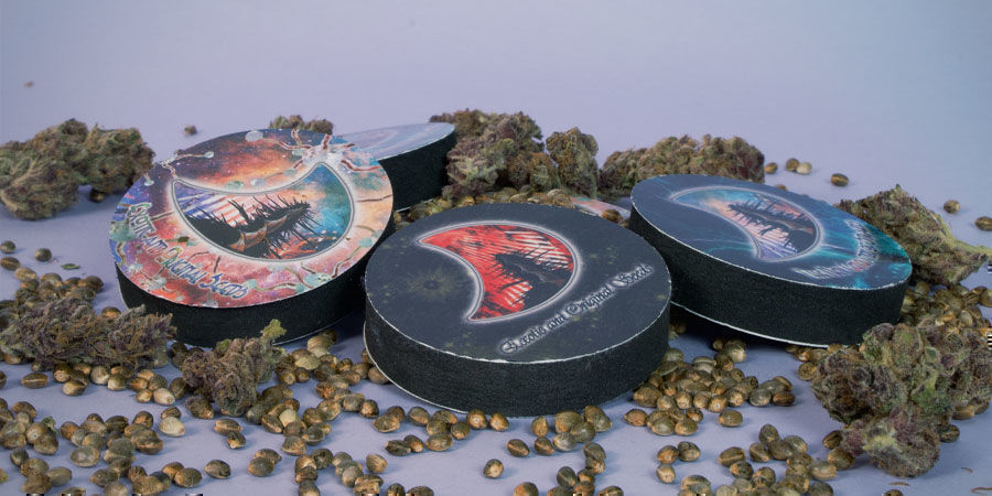 Hur förpackas GeneSeeds cannabisfrön? GeneSeeds Cannabisfrön-förpackning