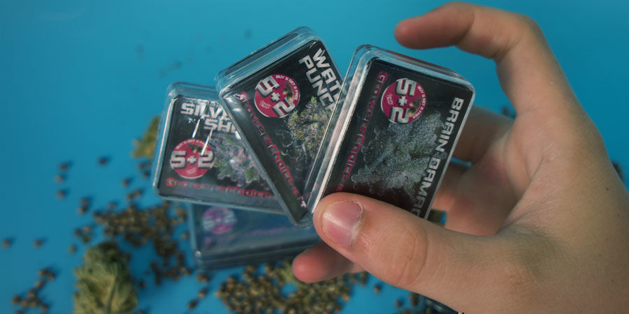 Growers Choice: gör de här fröna till ditt val Growers Choice: gör de här fröna till ditt val