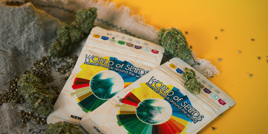 Var kan jag k&ouml;pa World Of Seeds cannabisfr&ouml;n?