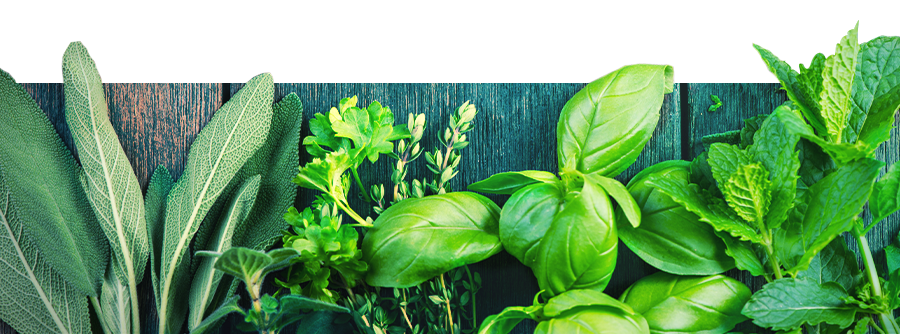 Information About Vape Herbs Information About Vape Herbs