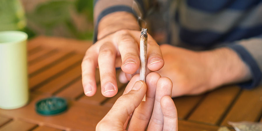 CBD — Ett sätt för alla att njuta av cannabis CBD — Ett sätt för alla att njuta av cannabis