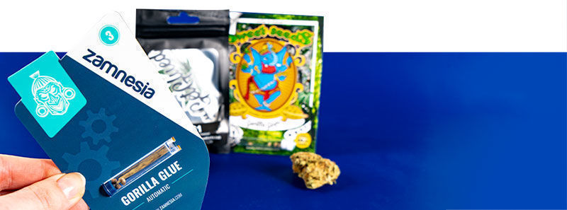 Gorilla Glue-sorter Gorilla Glue-sorter