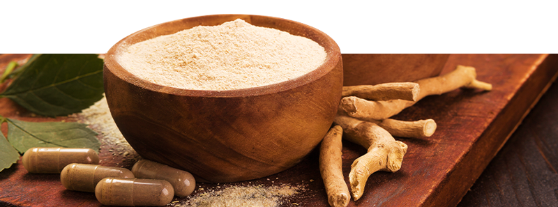 K&ouml;p ayurvediska produkter online hos Zamnesia