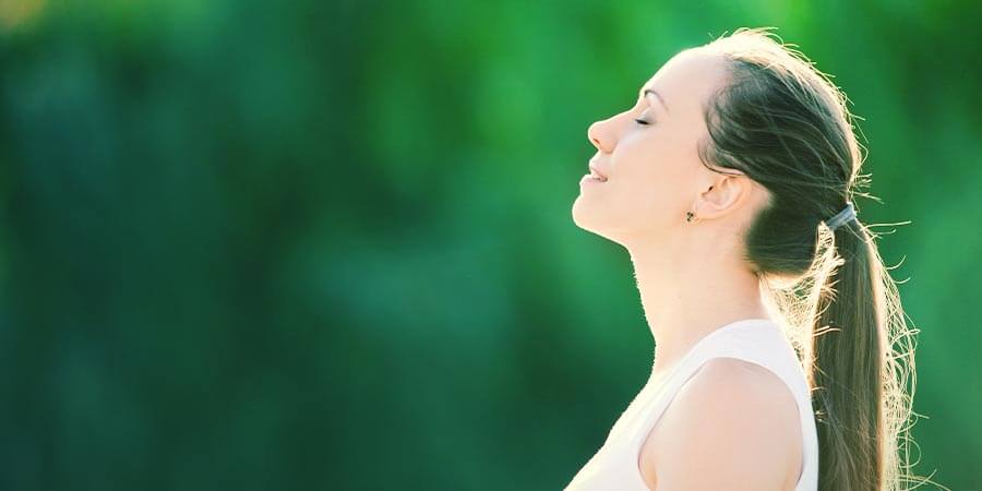 Steg 3: Åter vitalisera med örter Steg 3: Åter vitalisera med örter