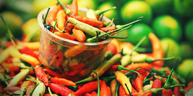 Varför odla egna chilifrukter? Varför odla egna chilifrukter?
