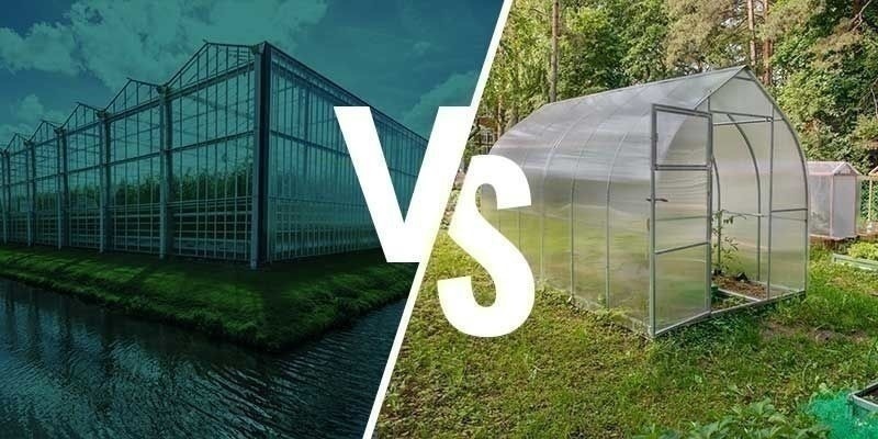 Skillnaderna mellan odling i växthus och orangeri Skillnaderna mellan odling i växthus och orangeri