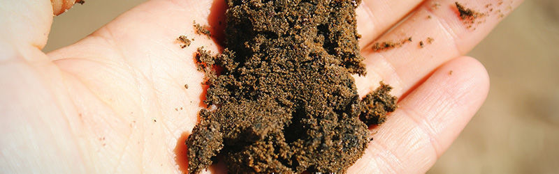 Sandig jord Sandy soil