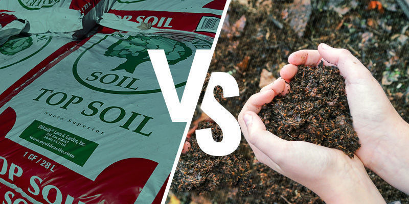 Butiksköpt vs hemmagjord cannabisjord Store-bought vs homemade cannabis soil