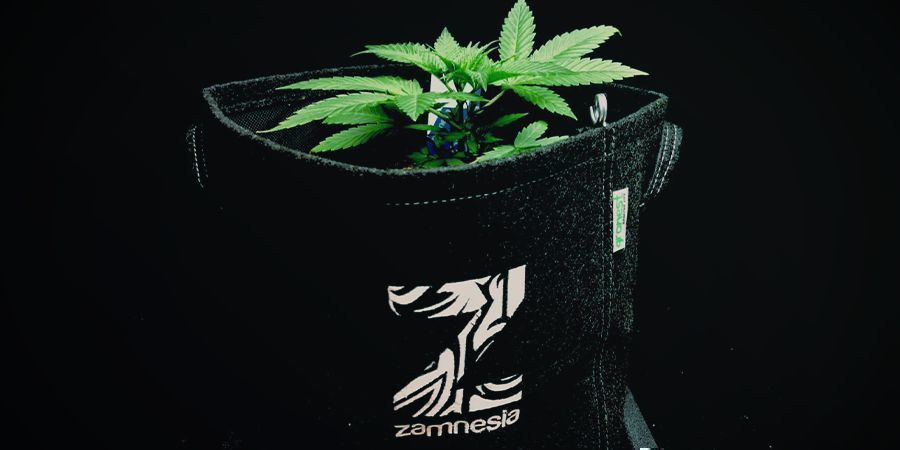 Tygkrukor (Smart Pots) Tygkrukor (Smart Pots) för cannabis