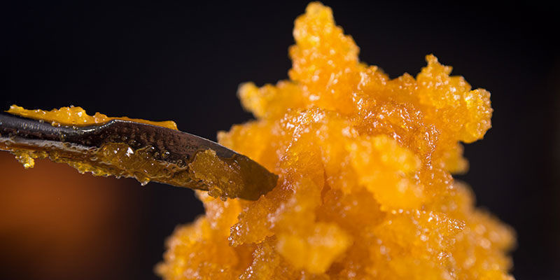 Isolera trikomer Isolating trichomes