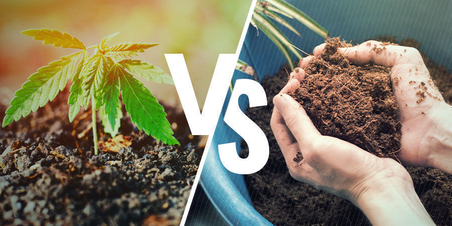 Jord kontra coco coir NPK: Soil vs Coco Coir