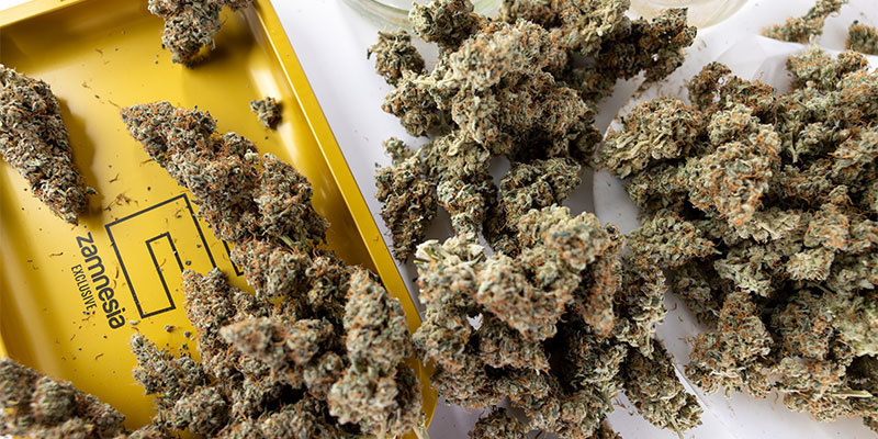 Låt inte bra cannabis bli dålig Låt inte bra cannabis bli dålig