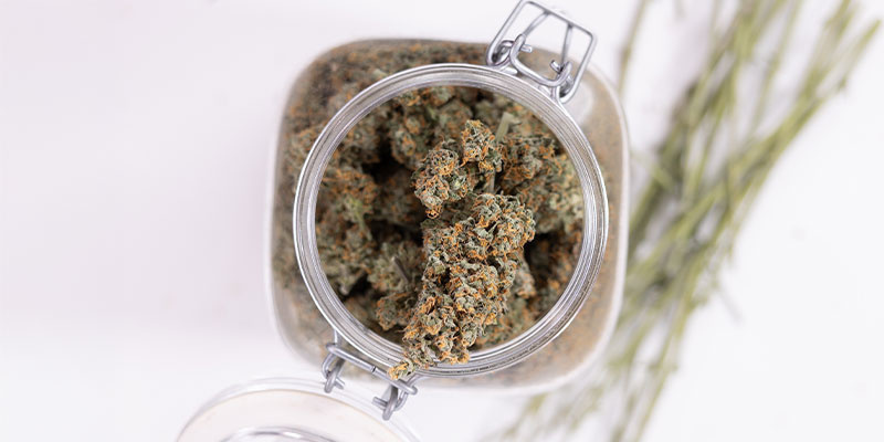 Hur du förvarar cannabis (på rätt sätt) Hur du förvarar cannabis (på rätt sätt)