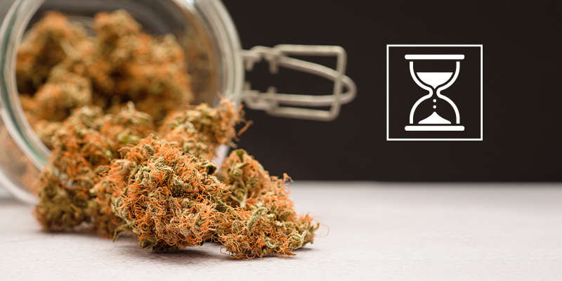 Kan man kurera cannabis för länge? Kan man kurera cannabis för länge?