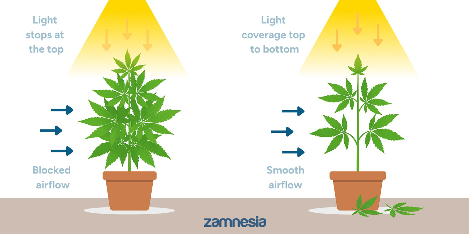 Varf&ouml;r avl&ouml;va cannabis?