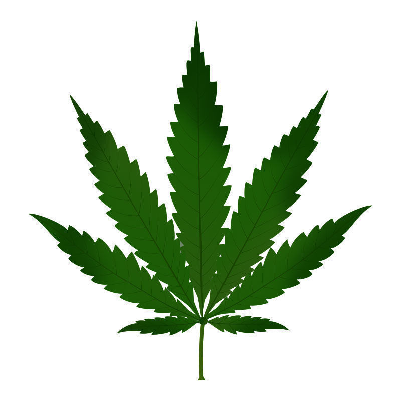 Kvävetoxicitet hos cannabisplantor: början av kvävetoxicitet