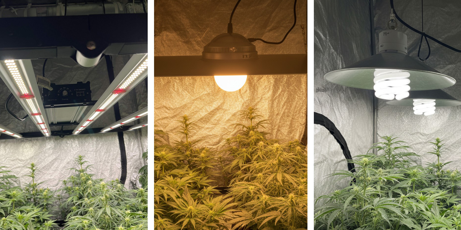 Typer av odlingslampor Types of grow lights