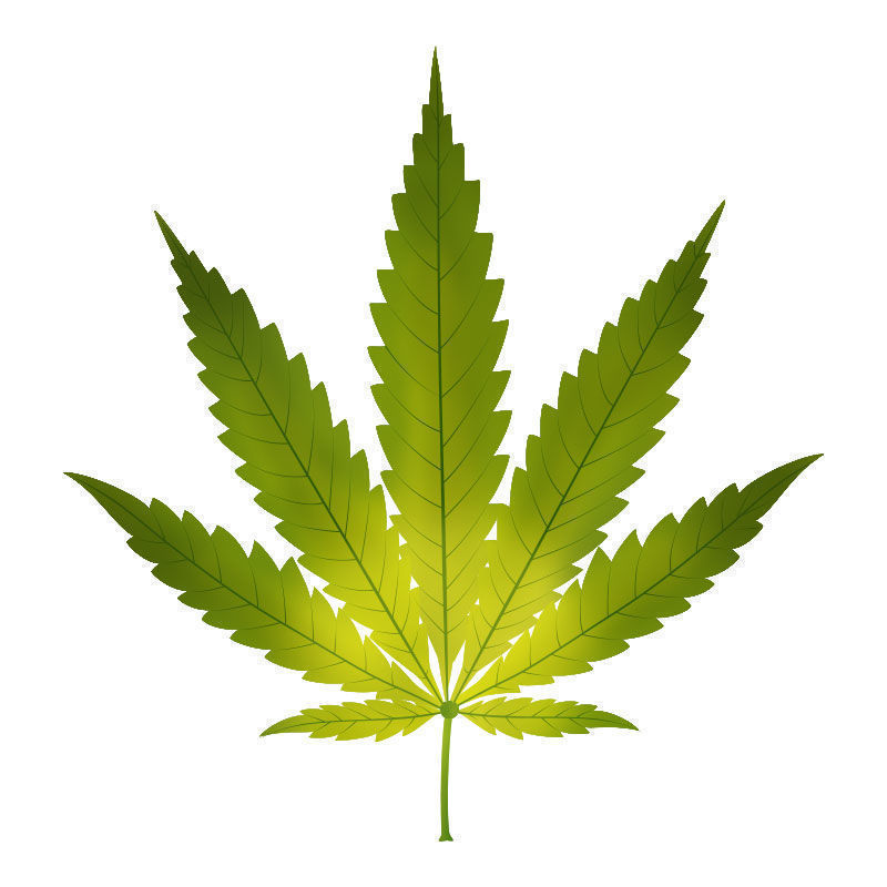 Järnbrist hos cannabisplantor: Början på järnbrist