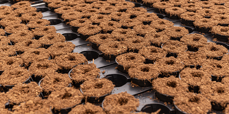 Typer av kokosfiber Types of coco coir