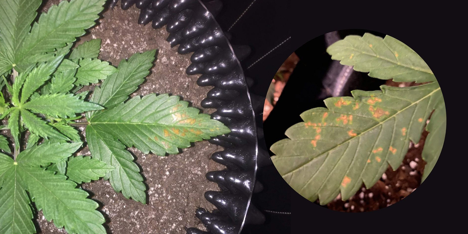 2. Visuell bekr&auml;ftelse j&auml;mf&ouml;rt med andra brister