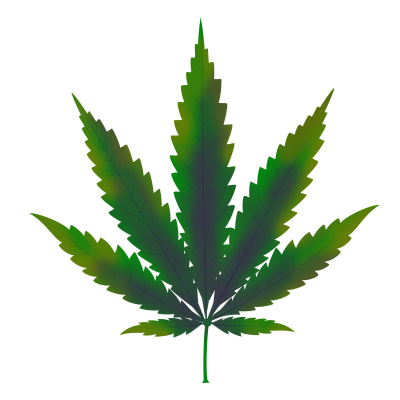 Kopparbrist hos cannabisplantor: Utveckling av kopparbrist