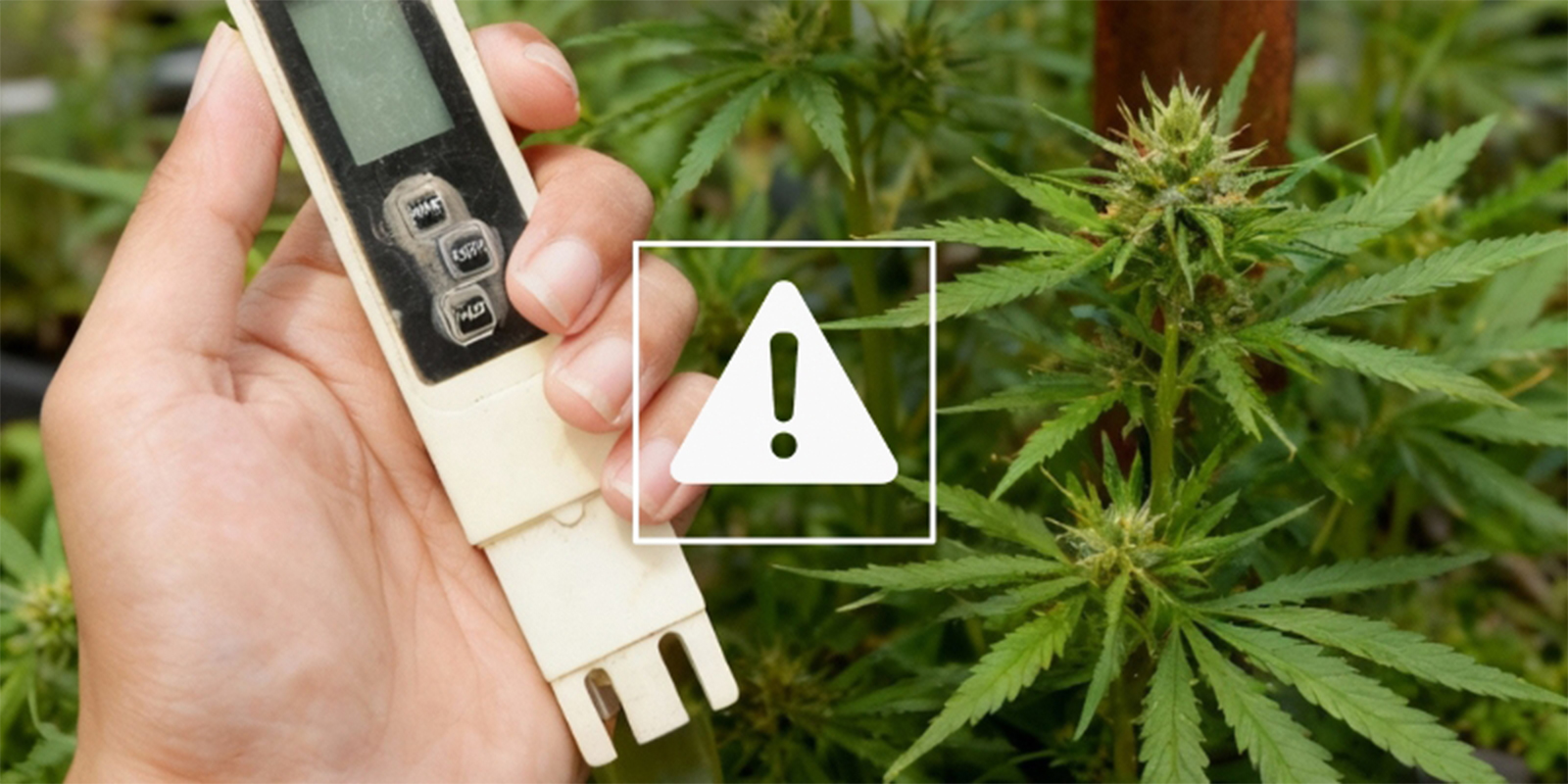Vanliga EC-problem och hur du löser dem Vanliga EC-problem och hur du löser dem