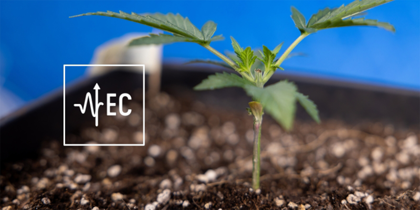 Vad är EC och varför spelar det någon roll? What is EC and why does it matter?
