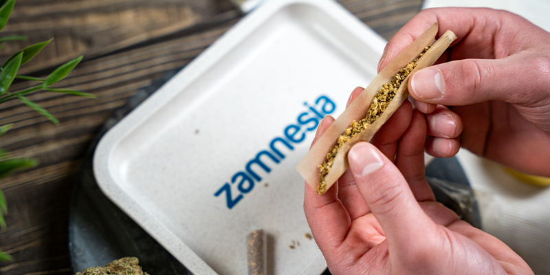 Rullbricka i hampa, liten (Zamnesia) Hemp Rolling Tray Small (Zamnesia)