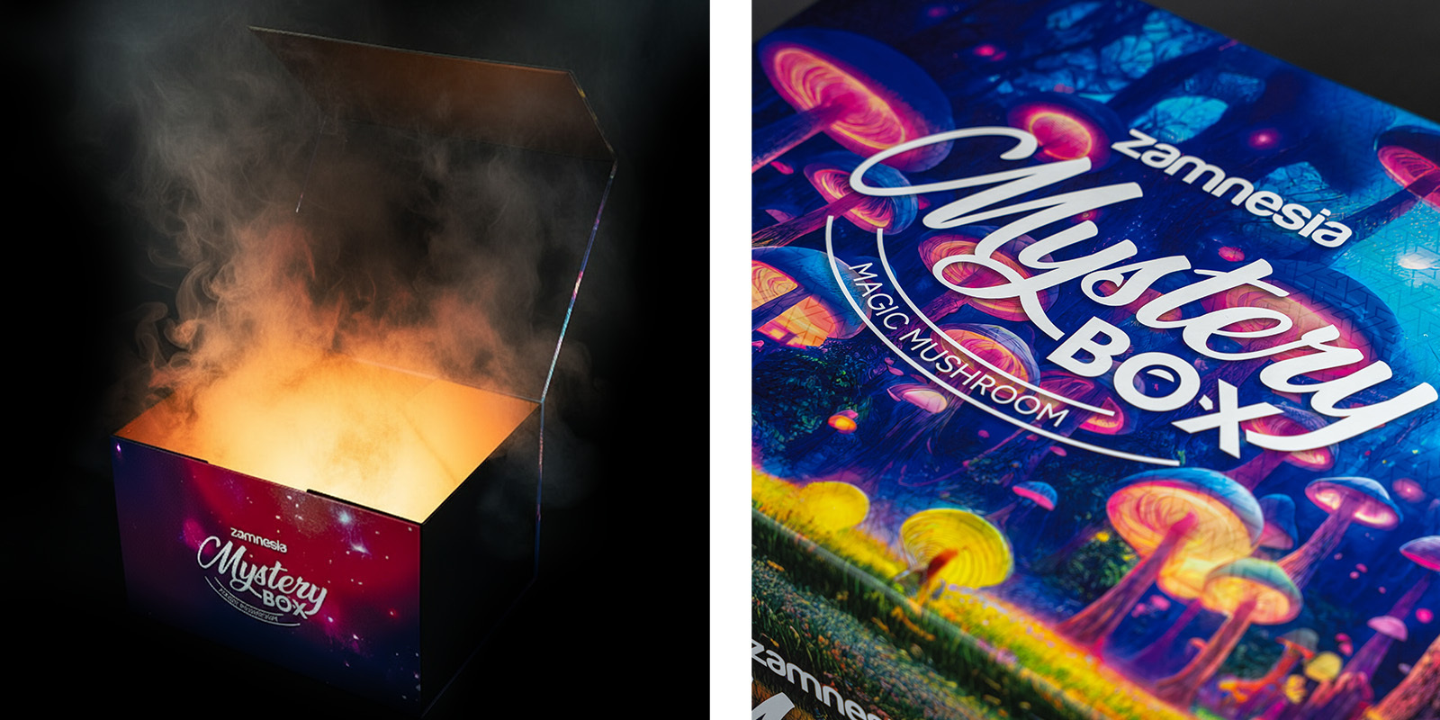 Magic Mushroom Mystery Box: Den ultimata Zamnesia-upplevelsen Magic Mushroom Mystery Box: Den ultimata Zamnesia-upplevelsen