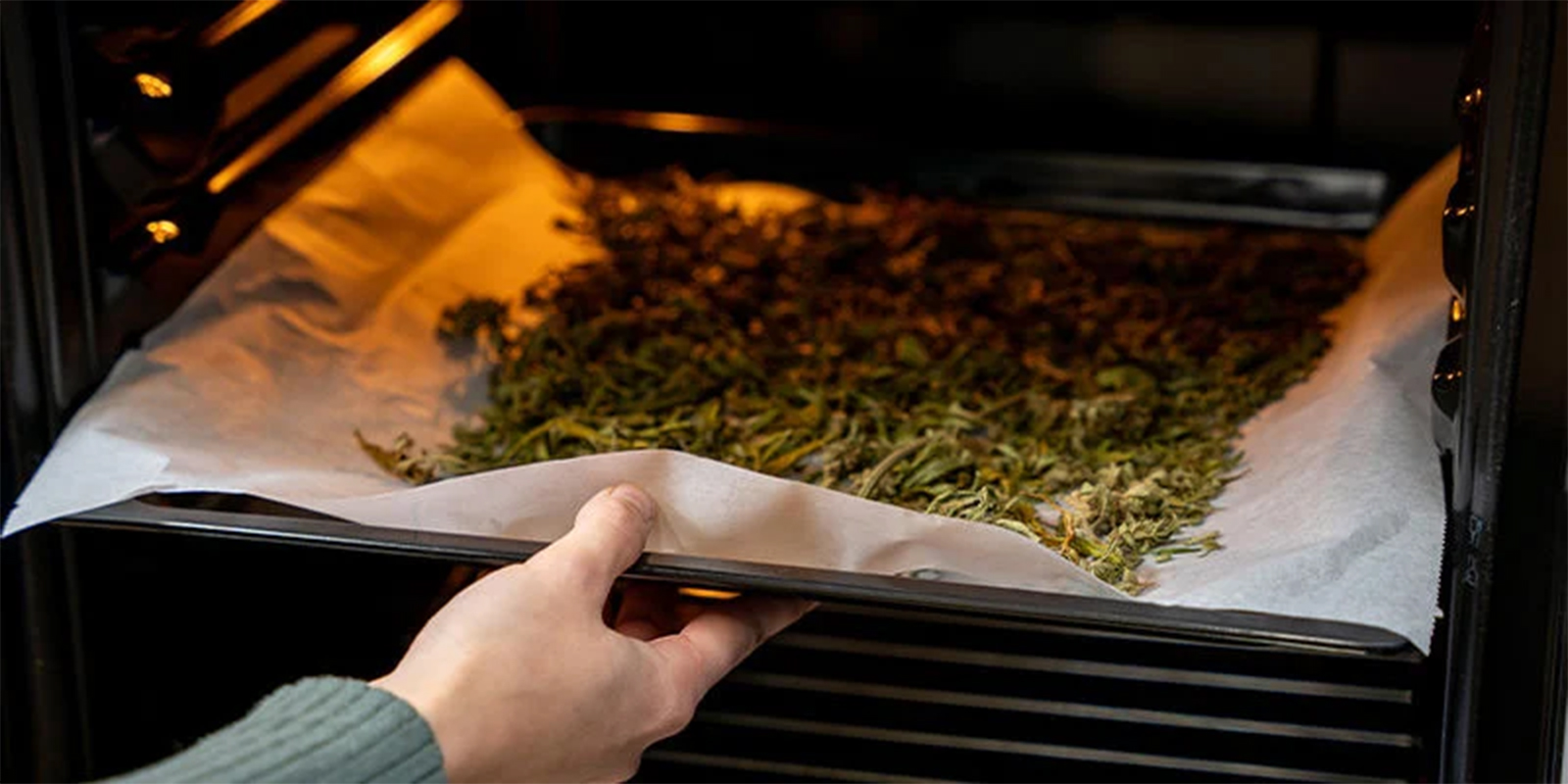 Steg 1: Dekarboxylera din cannabis Steg 1: Dekarboxylera din cannabis