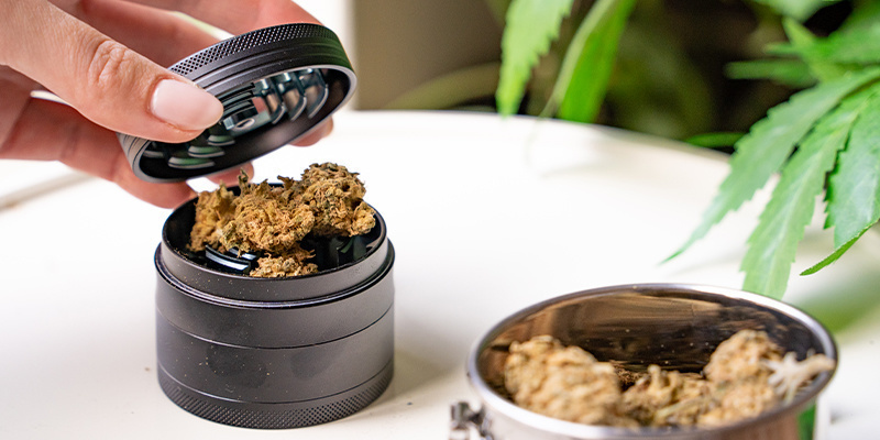 Först, mala cannabisen så fint du kan Först, mala cannabisen så fint du kan