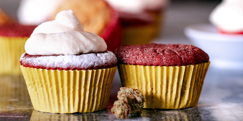 Recept på choklad-cannabiscupcakes Recept på choklad-cannabiscupcakes