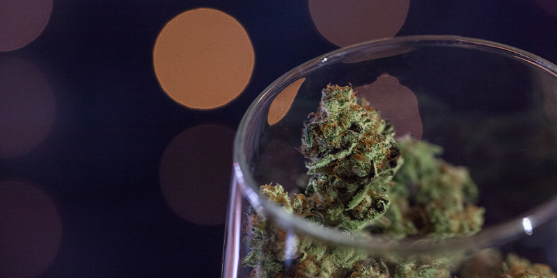 Så brygger du cannabis till vin How To Brew Cannabis Into Wine