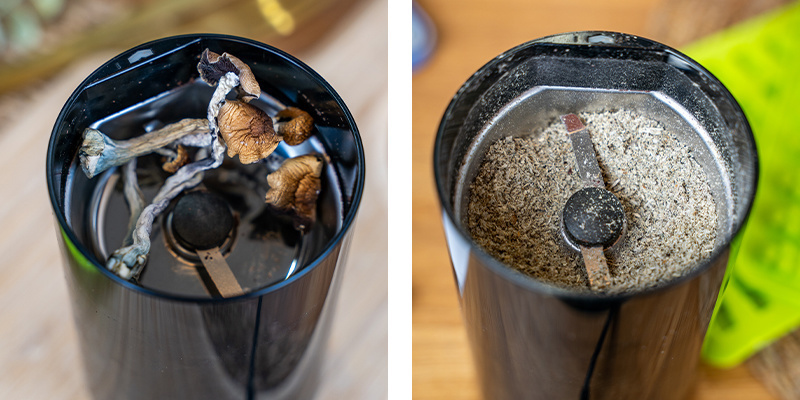 Använd en kaffekvarn eller cannabis-kvarn för att mala dina magiska svampar till ett fint pulver Use A Coffee Grinder Or Cannabis Grinder To Grind Your Magic Mushrooms Into A Fine Powder