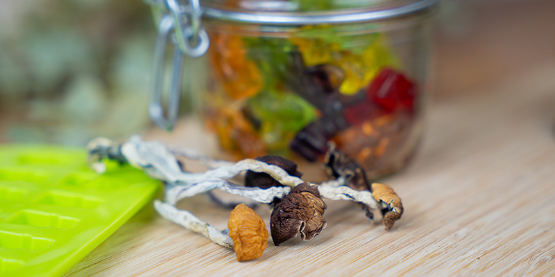 Så förvarar du dina THC gummies på lång sikt How To Store Your Psilocybin Gummies Long-Term