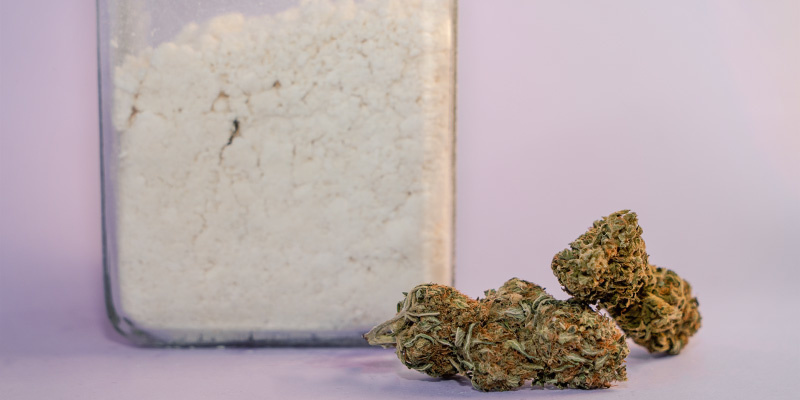 Vad är cannabispulver egentligen? What exactly is cannabis powder?
