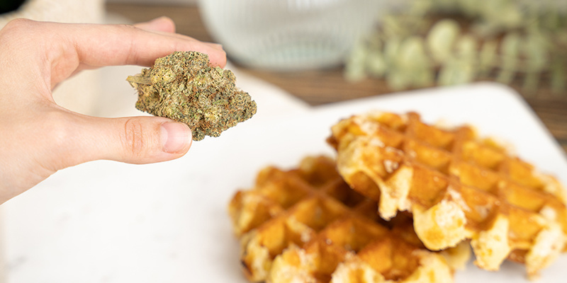 Risker med att äta cannabisvåfflor Risker med att äta cannabisvåfflor