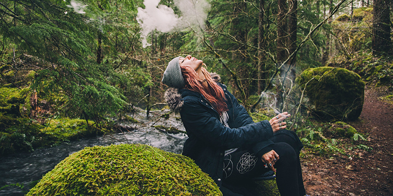 Varför kombinera camping med cannabis? Varför kombinera camping med cannabis?