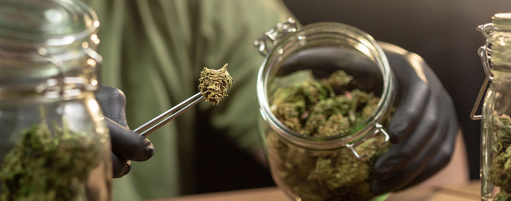 Så förvarar du cannabis på rätt sätt
