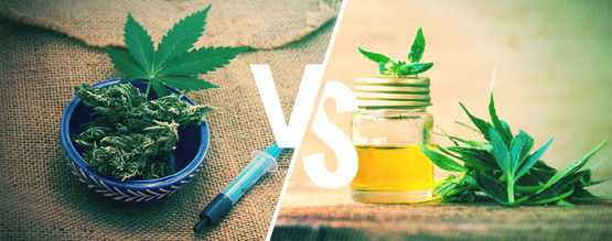 Skillnaden mellan CBD-olja och Rick Simpson Oil