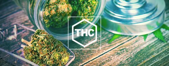 Allt du behöver veta om THC